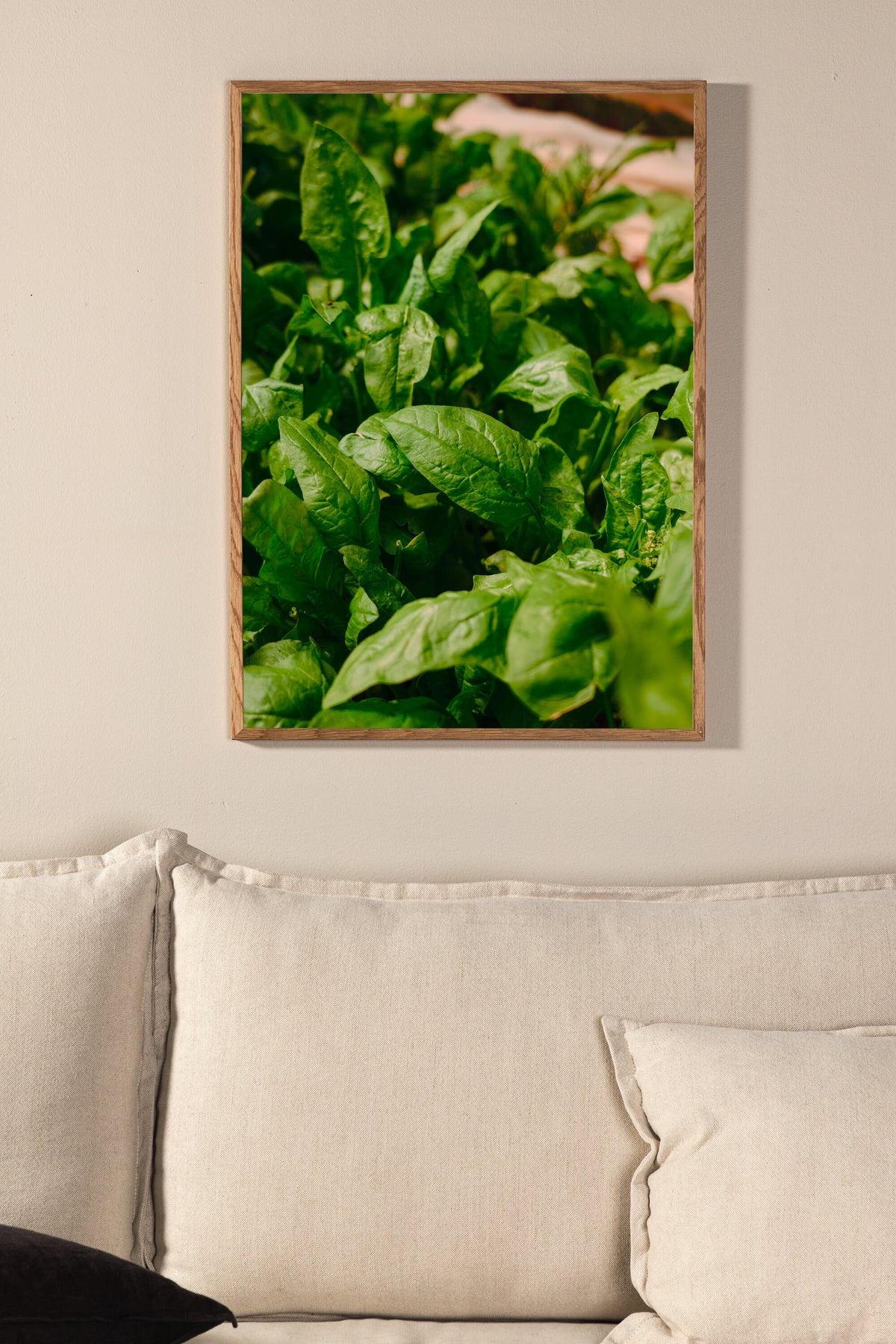 Gree leaf Poster – 40 x 30