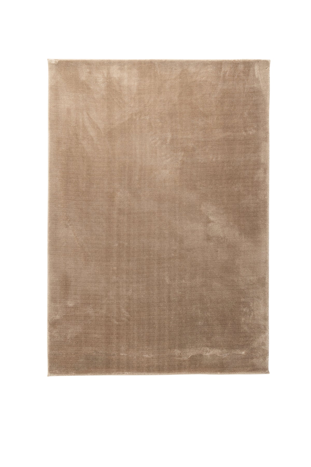 Blanca Matta – 290 x 200