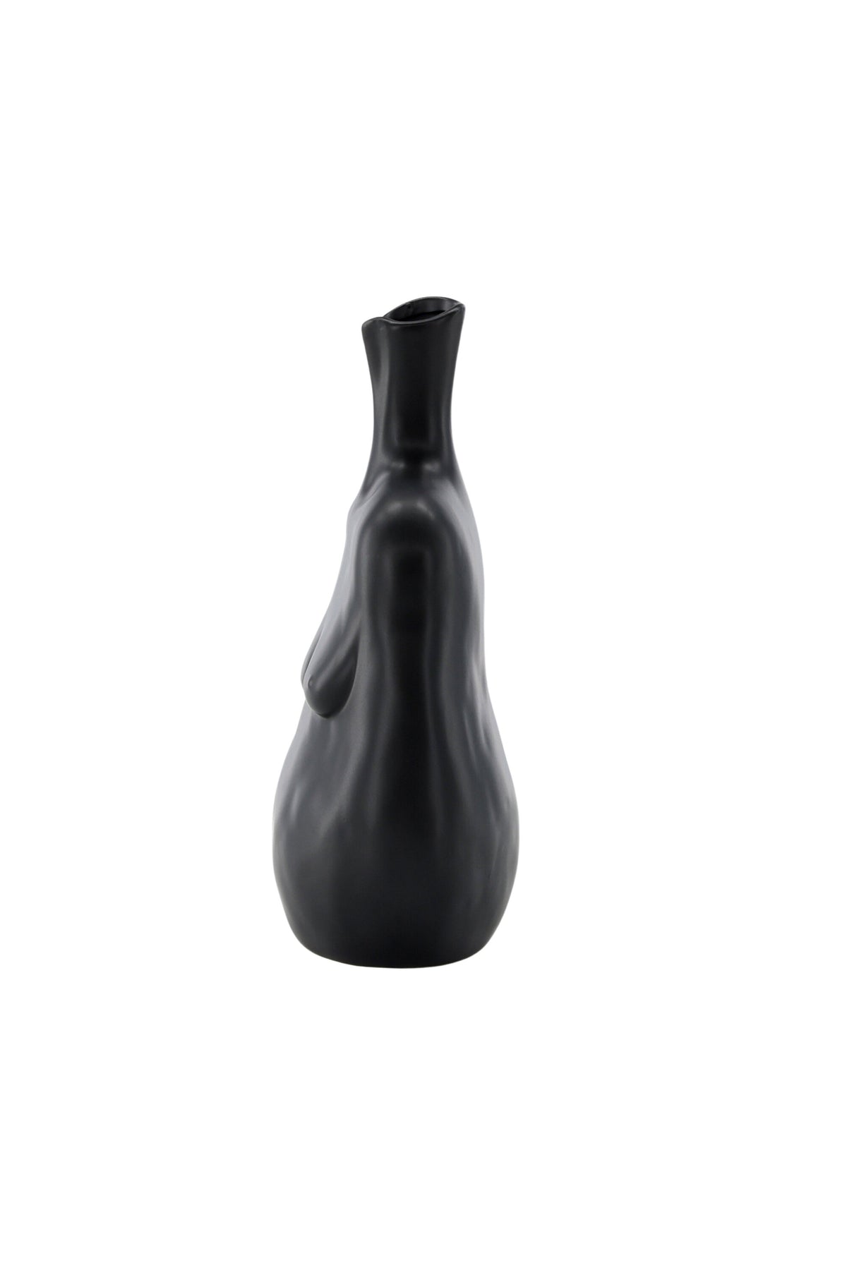 Conta Vas