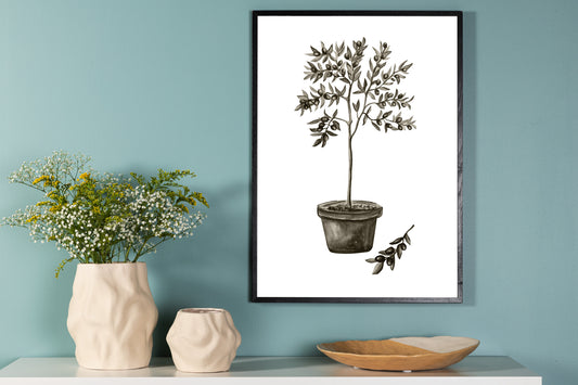 Olive Poster – 30 x 21