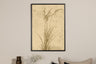 Plant art Poster – 30 x 21