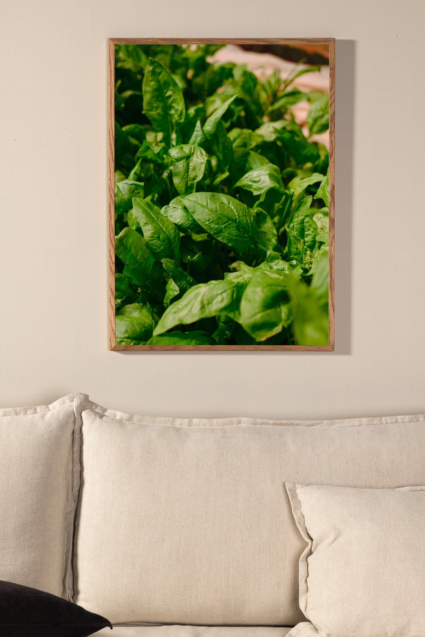 Gree leaf Poster Väggdekoration