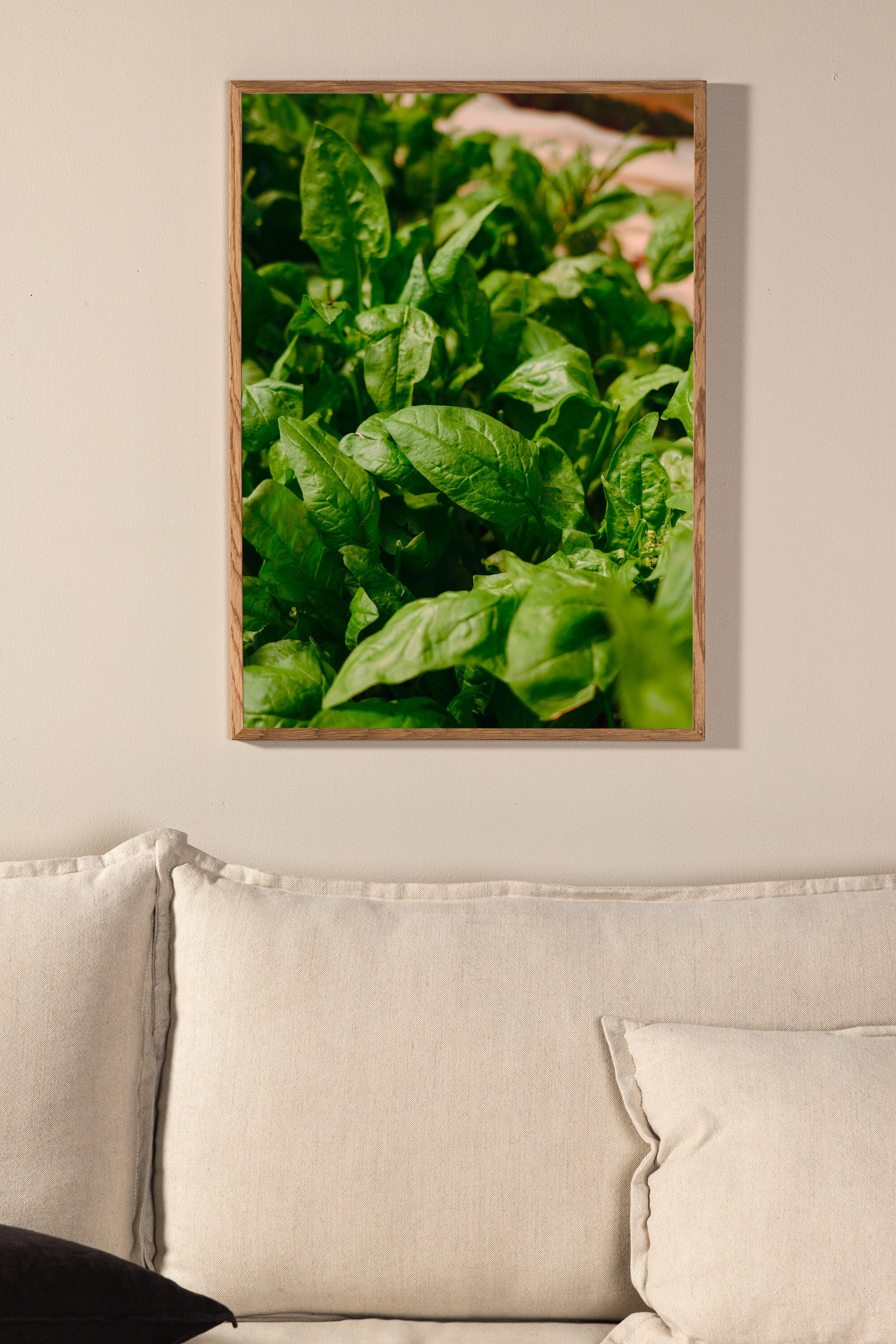 Gree leaf Poster Väggdekoration
