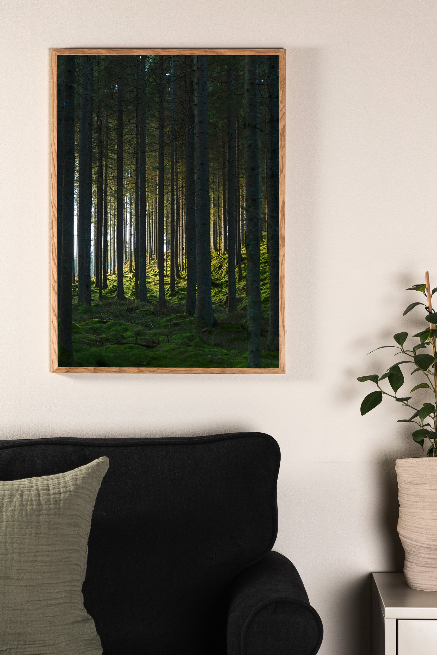 Woods Poster Väggdekoration