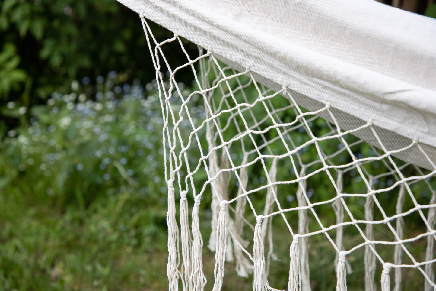 Banate Hammock