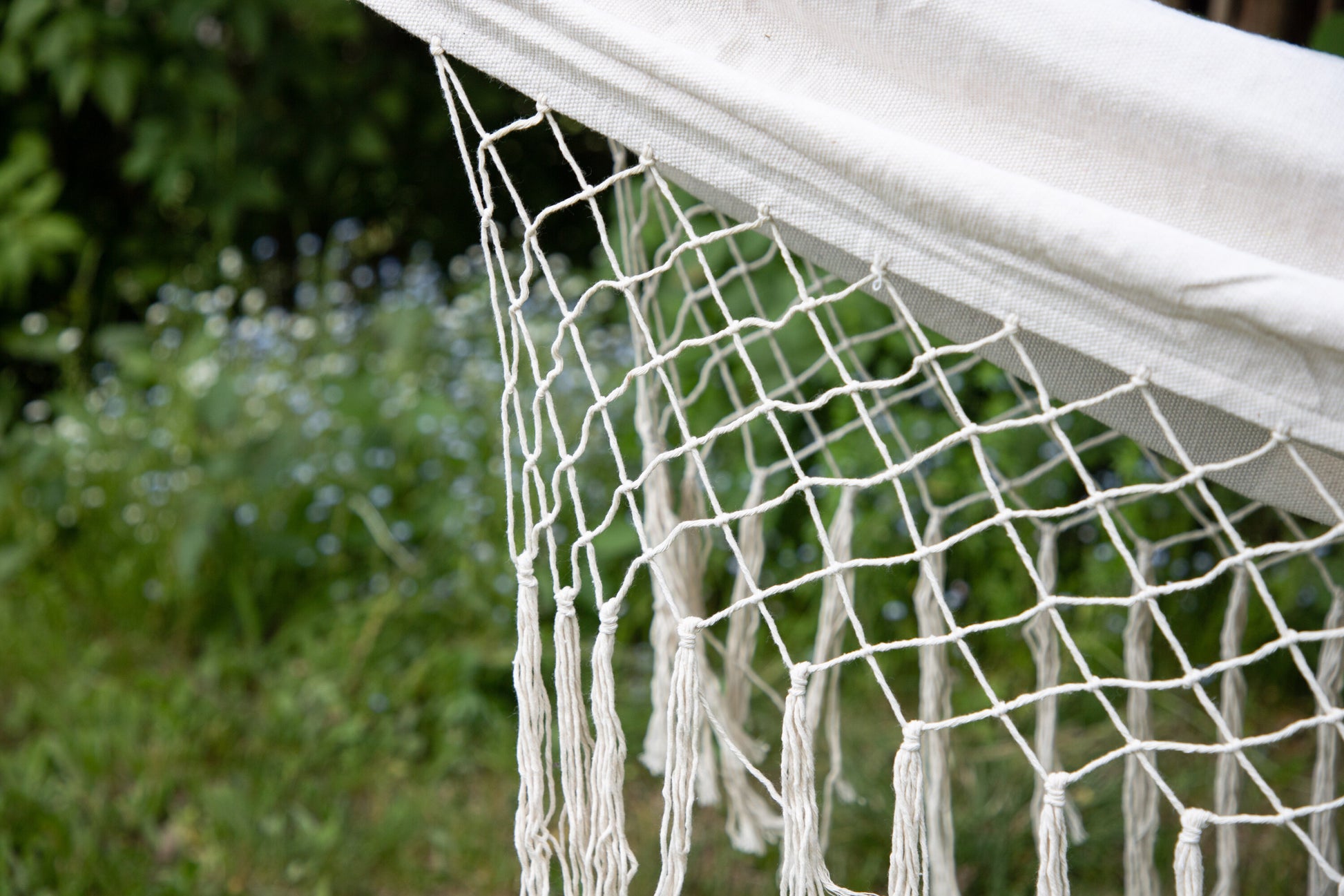 Banate Hammock