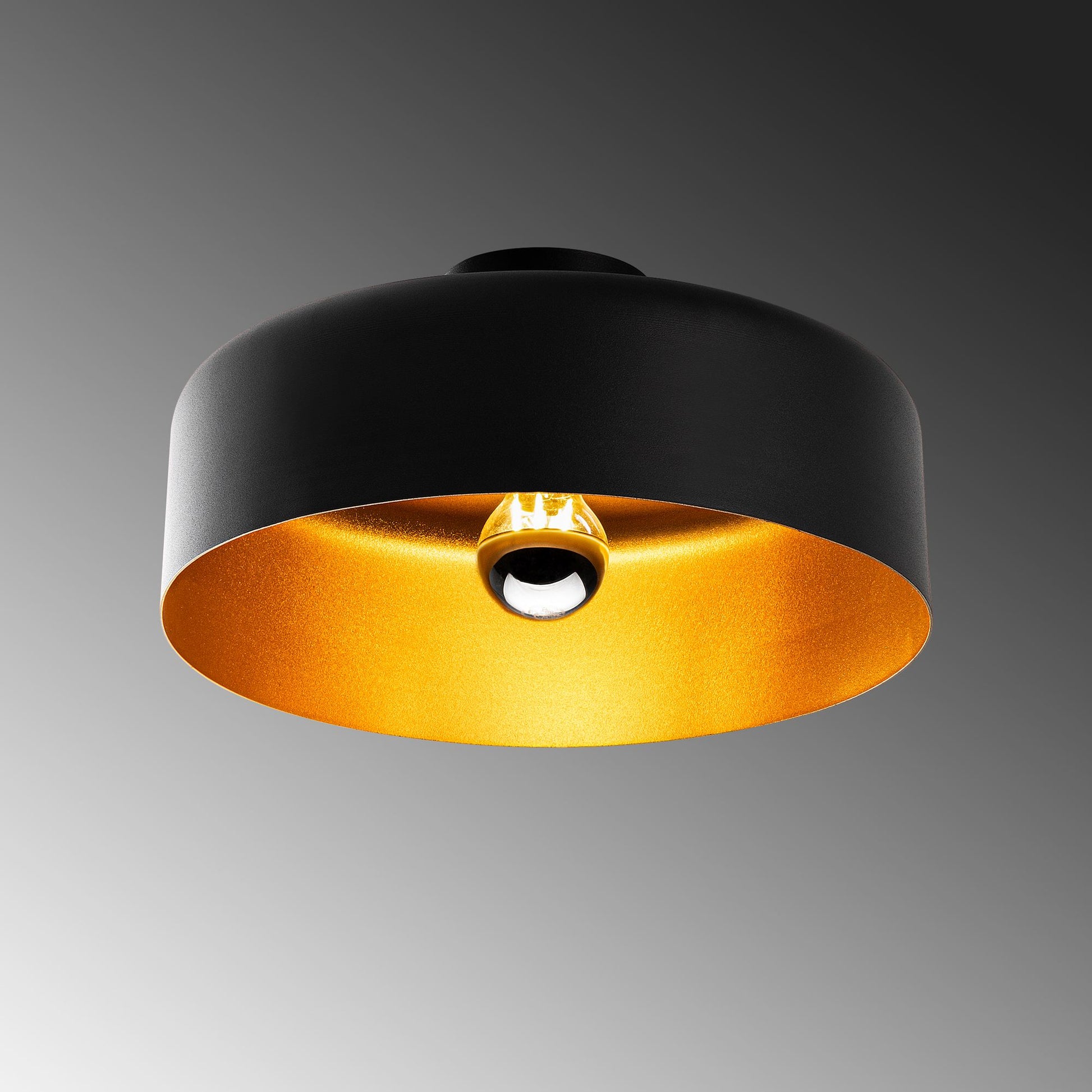 Vesta taklampa