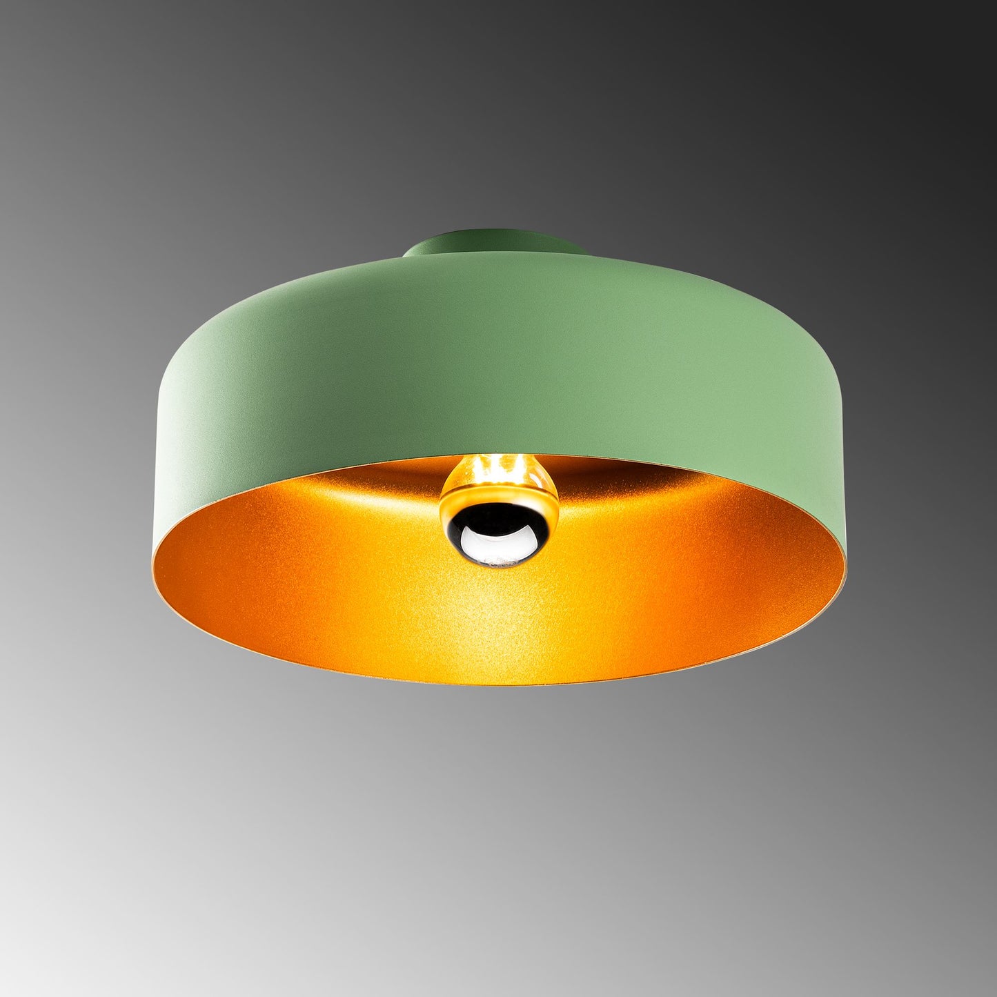 Vesta taklampa