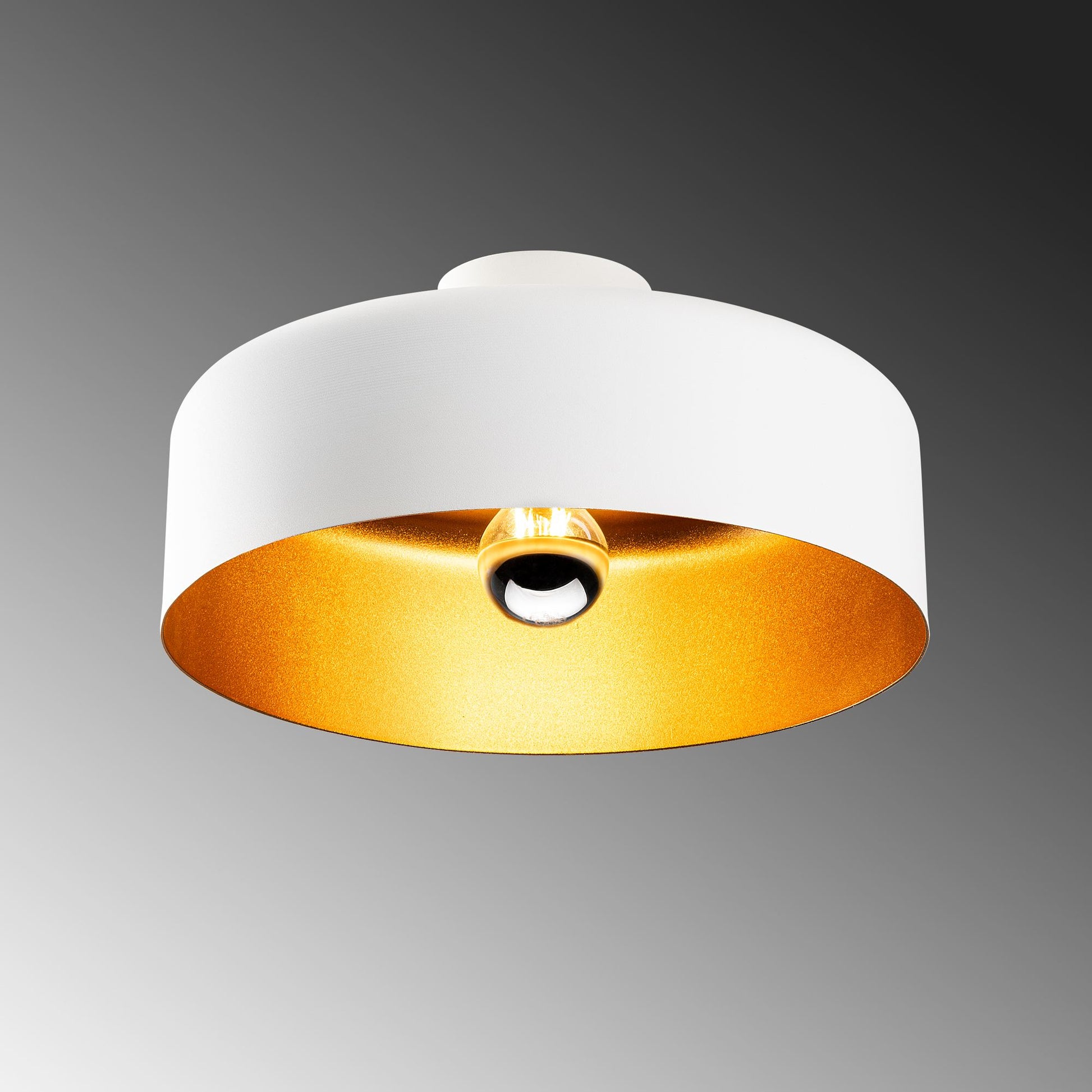 Vesta taklampa