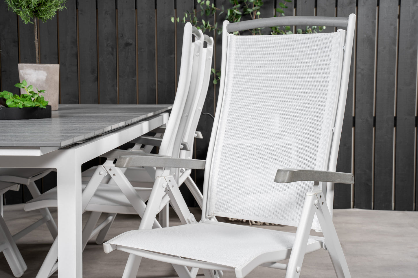 Levels Matbord med Albany Stolarna Matgrupp
