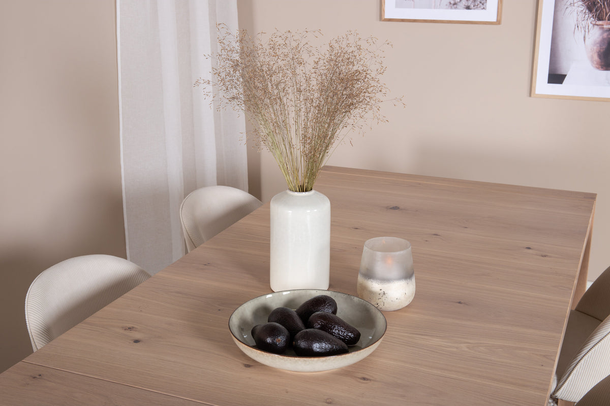 Slider Matbord med Velvet Stolarna – Bord: 75x170x95 Stol: 57x76,5x50