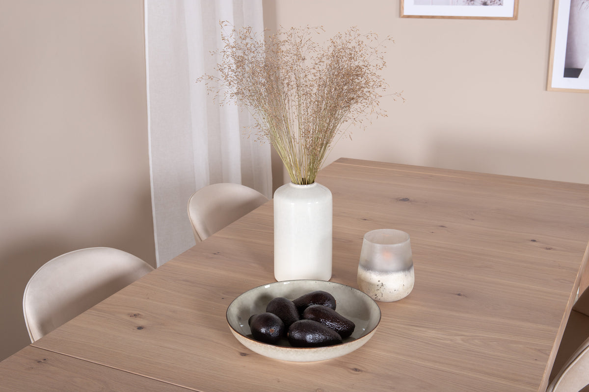 Slider Matbord med Velvet Stolarna – Bord: 75x170x95 Stol: 57x76,5x50