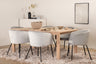 Slider Matbord med Berit Stolarna – Bord: 75x170x95 Stol: 55x78x55
