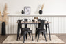 Tempe Matbord med Tempe Stolarna – Bord: 75x140x80 Stol: 53x85x45