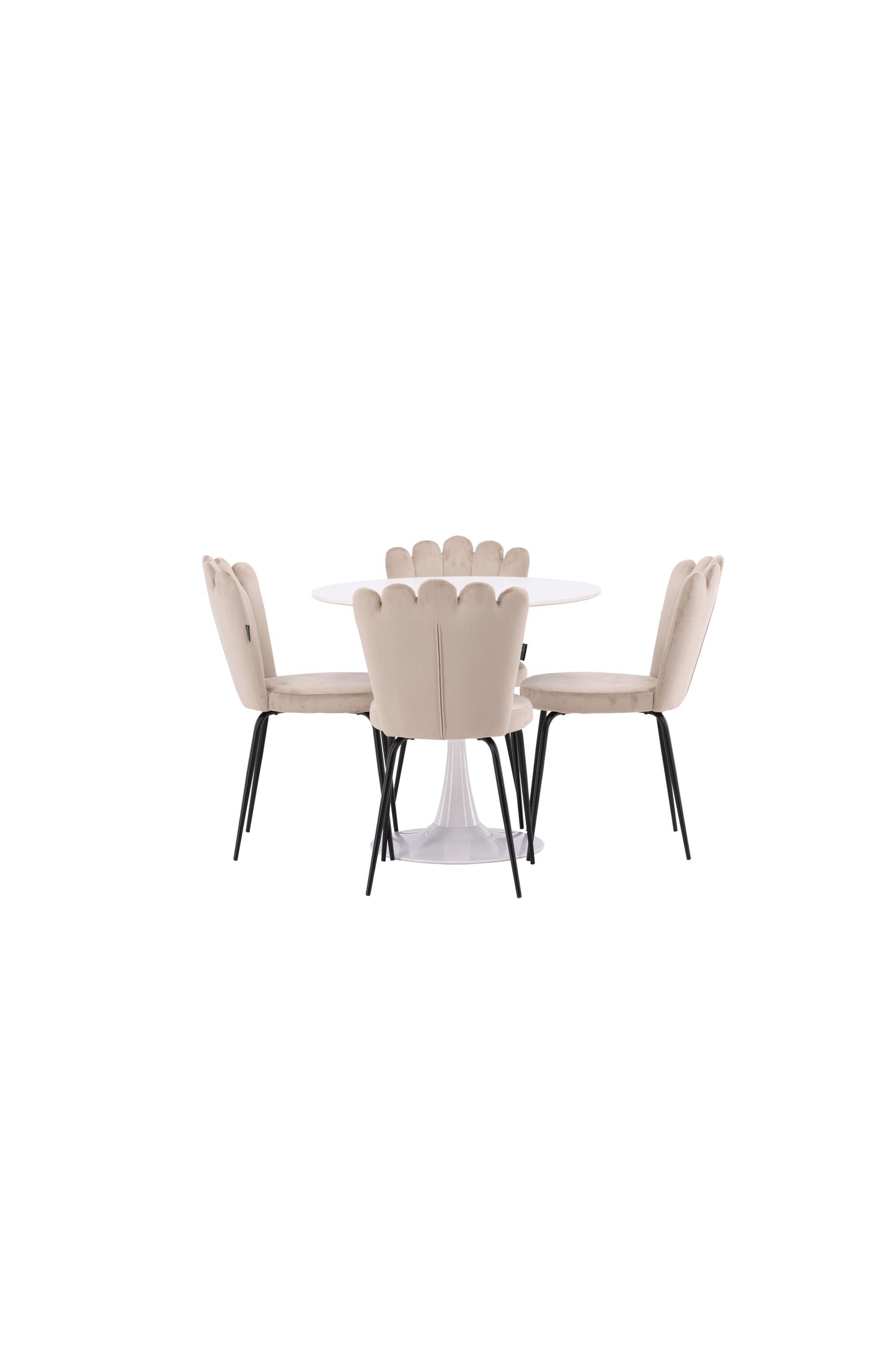 Hamden Matbord med Limhamn Stolarna